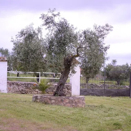 Jarales Numero Registro Tr-cc-00365 Casa vacanze Casar de Cáceres