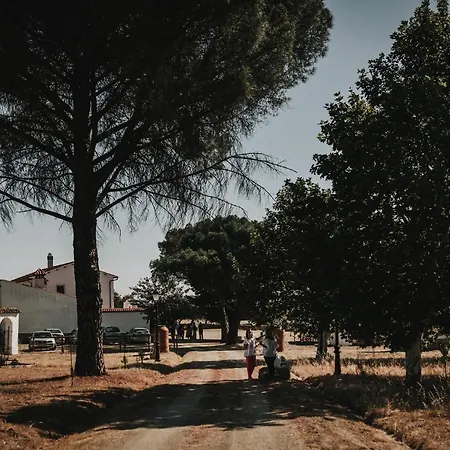 Jarales Numero Registro Tr-cc-00365 * Casar De Caceres