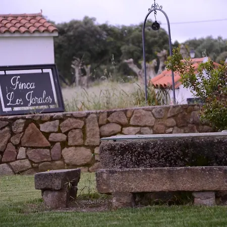 Jarales Holiday home Casar De Caceres