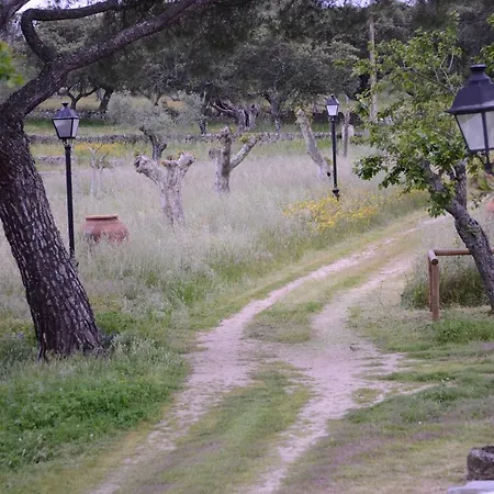 Jarales Numero Registro Tr-cc-00365 Casa vacanze