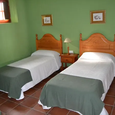 Jarales Numero Registro Tr-cc-00365 *