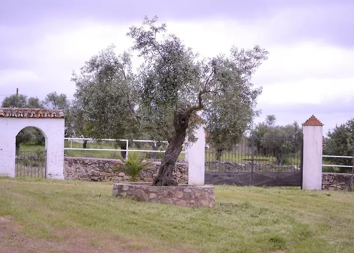 Jarales Numero Registro Tr-cc-00365 Дом отдыха Касар-де-Касерес