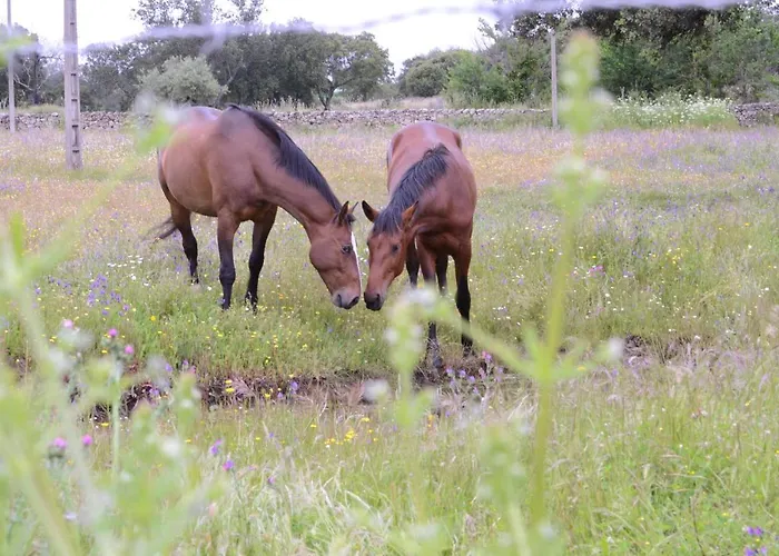 Дом отдыха Jarales Numero Registro Tr-cc-00365 Касар-де-Касерес