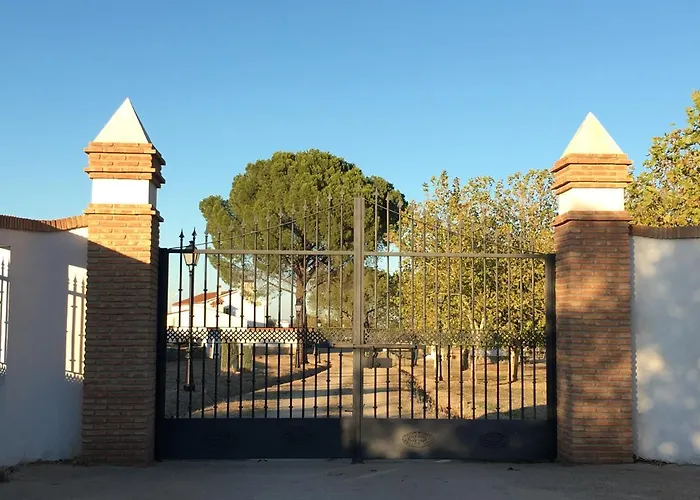 Jarales Numero Registro Tr-cc-00365 *