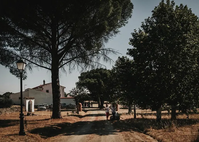 Jarales Numero Registro Tr-cc-00365 * Касар-де-Касерес