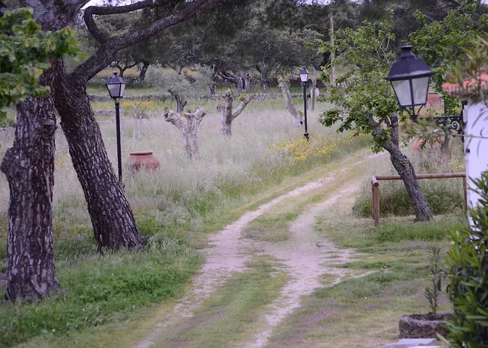 Jarales Numero Registro Tr-cc-00365 Дом отдыха