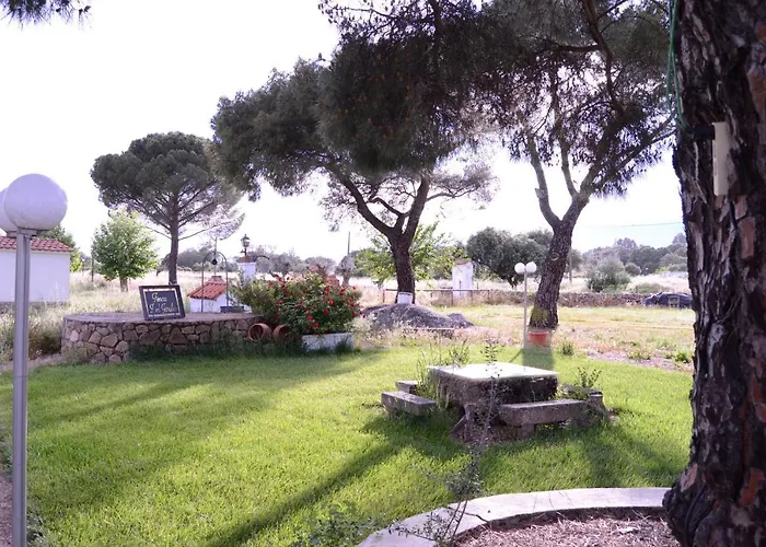 Jarales Numero Registro Tr-cc-00365