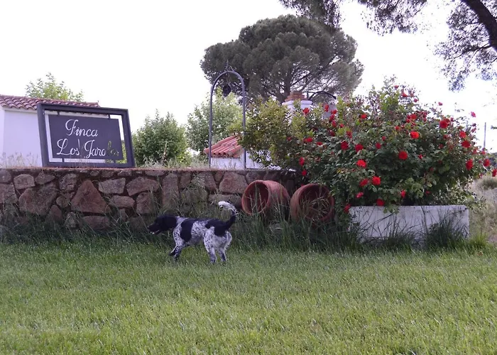 Jarales Numero Registro Tr-cc-00365 *