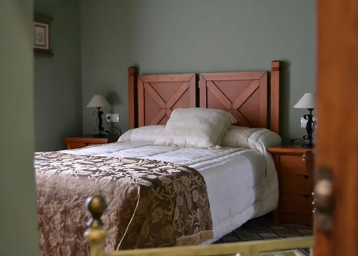 Jarales Numero Registro Tr-cc-00365