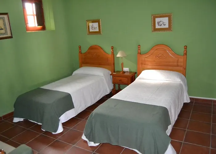 Jarales Numero Registro Tr-cc-00365 *